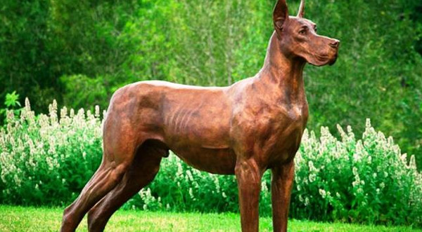 Khám Phá Các Giống Chó Nguy Hiểm Trên Toàn Thế Giới