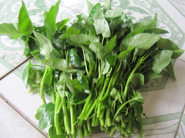 Hạn chế ăn rau muống sống để bảo vệ sức khỏe. Rau muống sống không an toàn