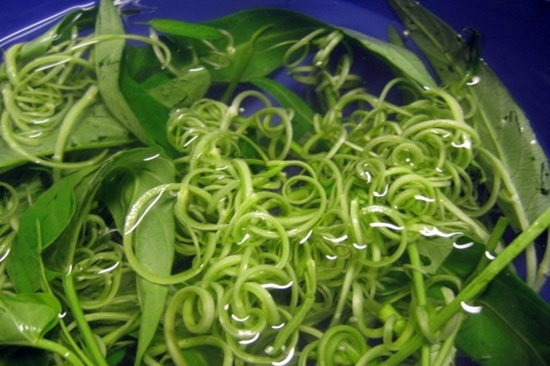 Ăn rau muống chưa chế biến đúng cách có thể gây hại cho sức khỏe. Rau muống và những tác hại tiềm ẩn