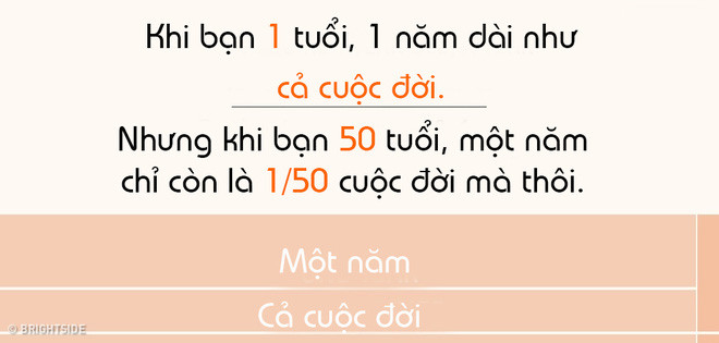 Tại sao thời gian dường như trôi nhanh hơn khi lớn lên?