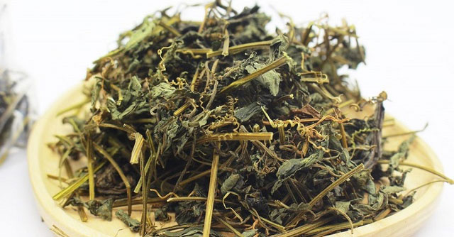 Giảo Cổ Lam: Siêu Thực Phẩm Từ Thiên Nhiên Cho Sức Khỏe Tối Ưu