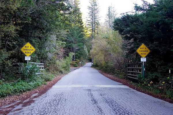 Khu rừng Bohemian Grove