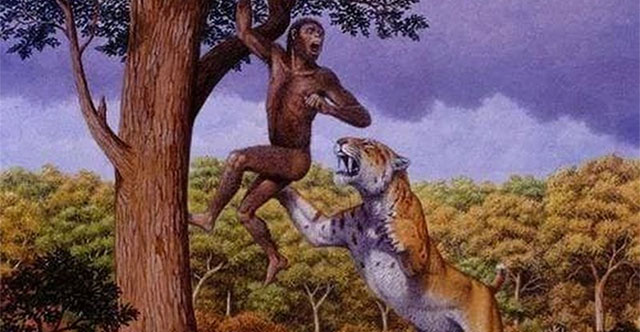 Động Vật Không Có Kẻ Thù Tự Nhiên: Những Kẻ Săn Mồi Hàng Đầu Trên Trái Đất