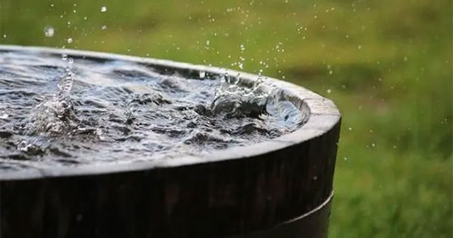 Cảnh Báo: Nước Mưa Trên Toàn Thế Giới Có Chứa Hóa Chất Độc Hại