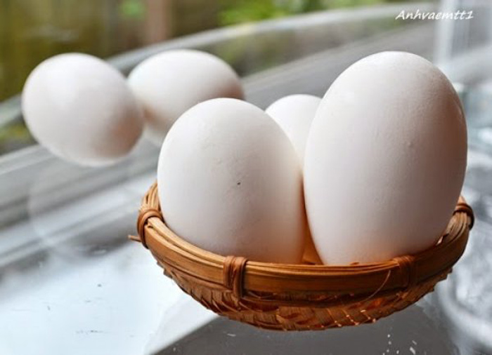 Bà bầu bổ sung trứng ngỗng thường xuyên có thể béo phì và tăng lượng cholesterol trong máu Bà bầu bổ sung trứng ngỗng thường xuyên có thể béo phì và tăng lượng cholesterol trong máu
