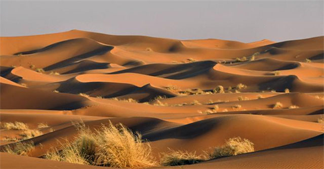 Khám Phá Độ Sâu Của Sa Mạc Sahara: Bí Ẩn Bên Dưới Những Đụn Cát