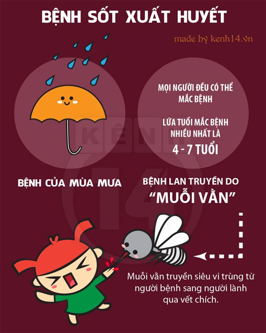 Khắc phục sốt xuất huyết Khắc phục sốt xuất huyết