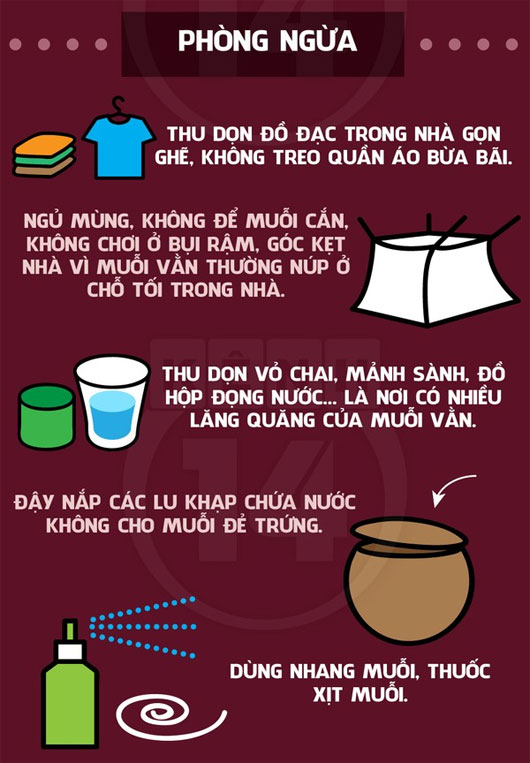 Bảo vệ sức khỏe trước sốt xuất huyết Bảo vệ sức khỏe trước sốt xuất huyết