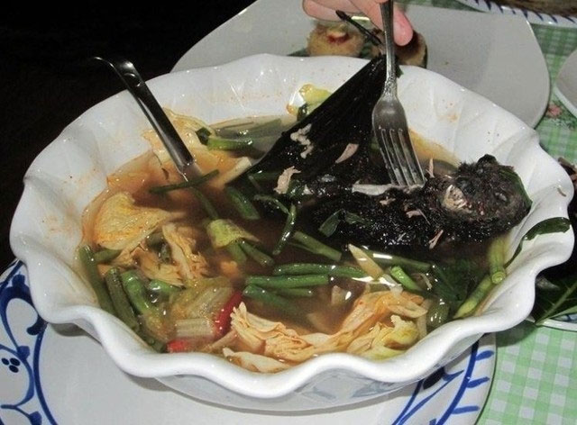 sup-doi Súp dơi