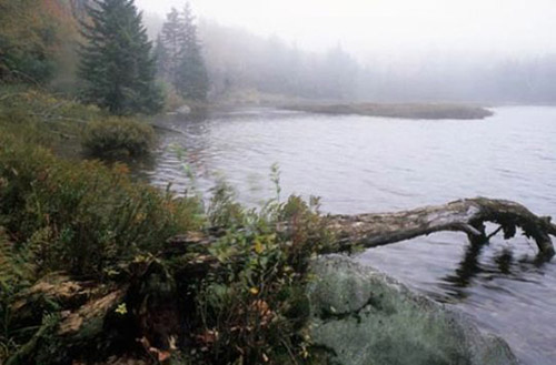 Tam giác Bennington tại Vermont