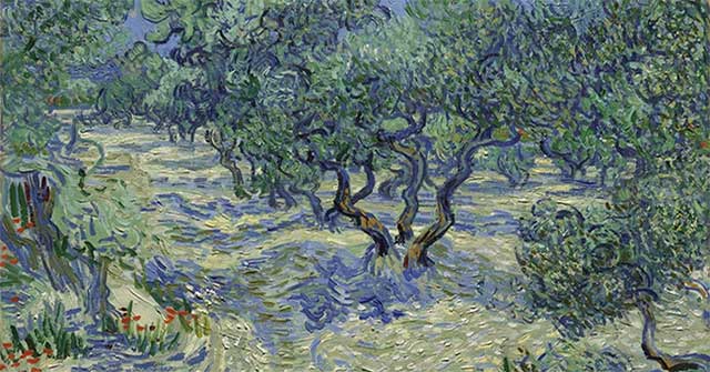 Xác châu chấu lưu trên bức ‘Những cây ô-liu’: khám phá nhỏ tiết lộ thói quen sáng tác của Van Gogh