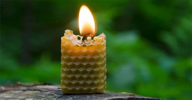 9 Phương Pháp Tự Nhiên Để Cải Thiện Không Khí Trong Ngôi Nhà Của Bạn